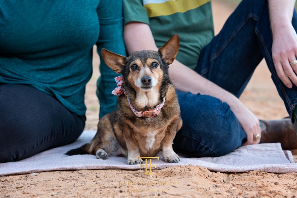 family pictures