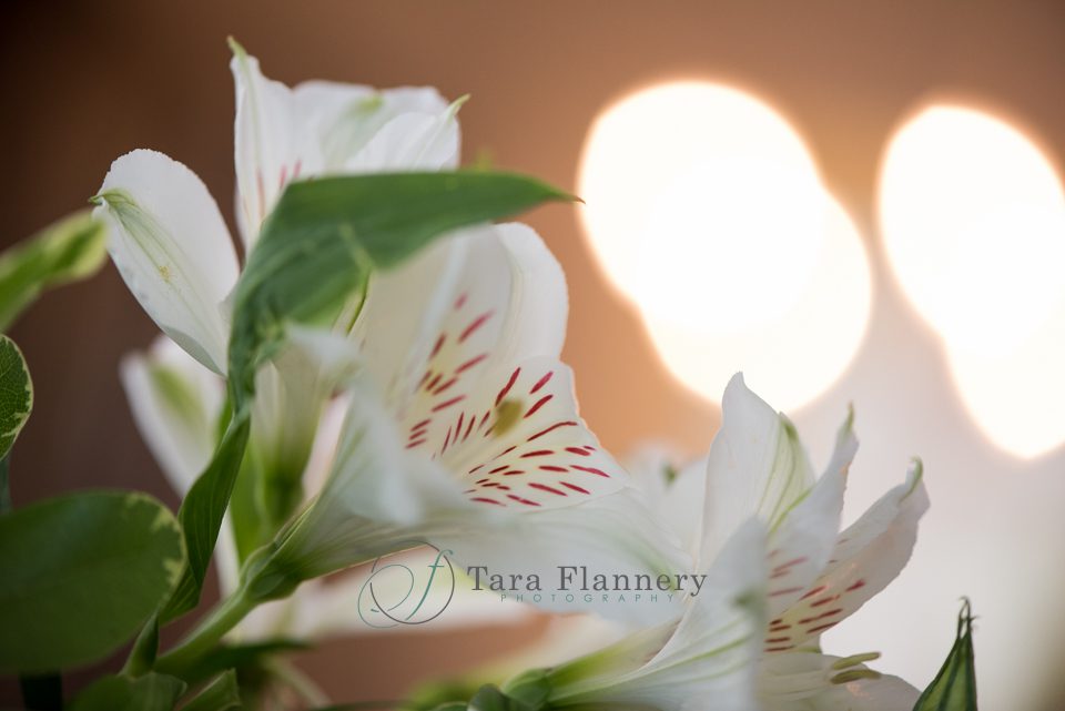How to Plan an Event flowers with light shining behind